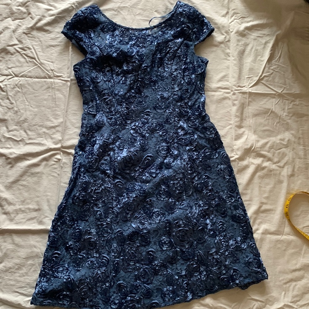 Alex Evenings Special Occasion Dress size 14 P